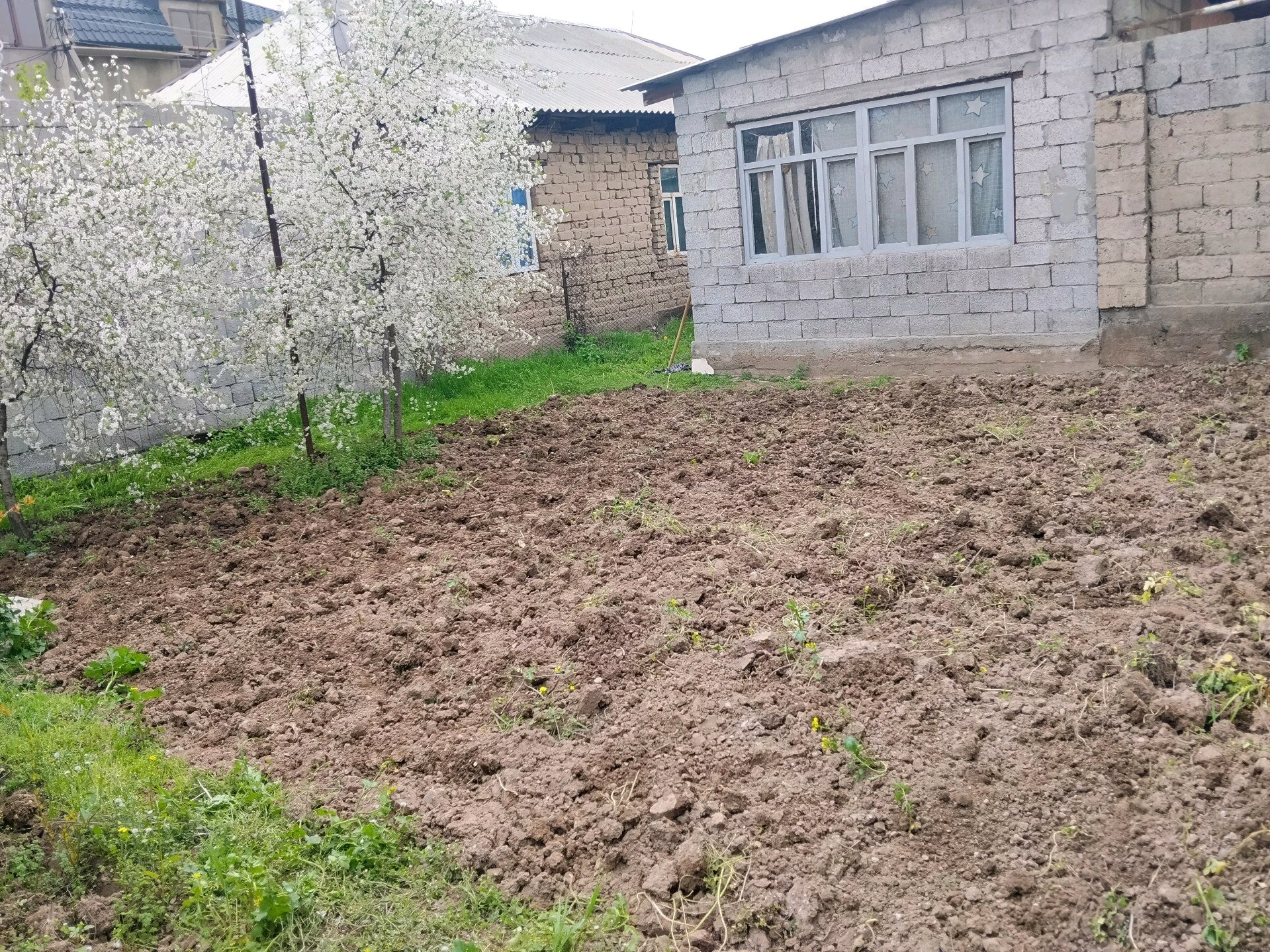 1 комн. квартира