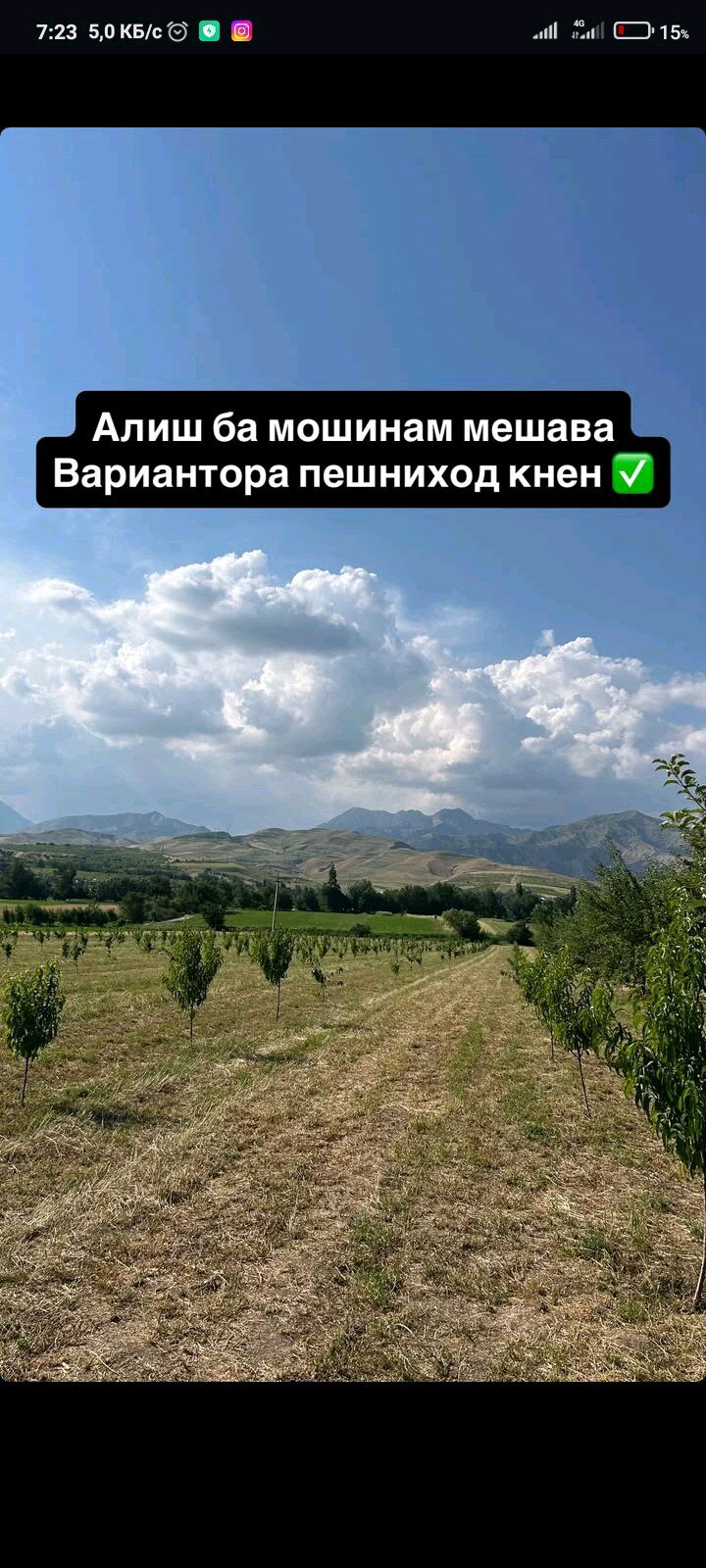 Участок 210 соток