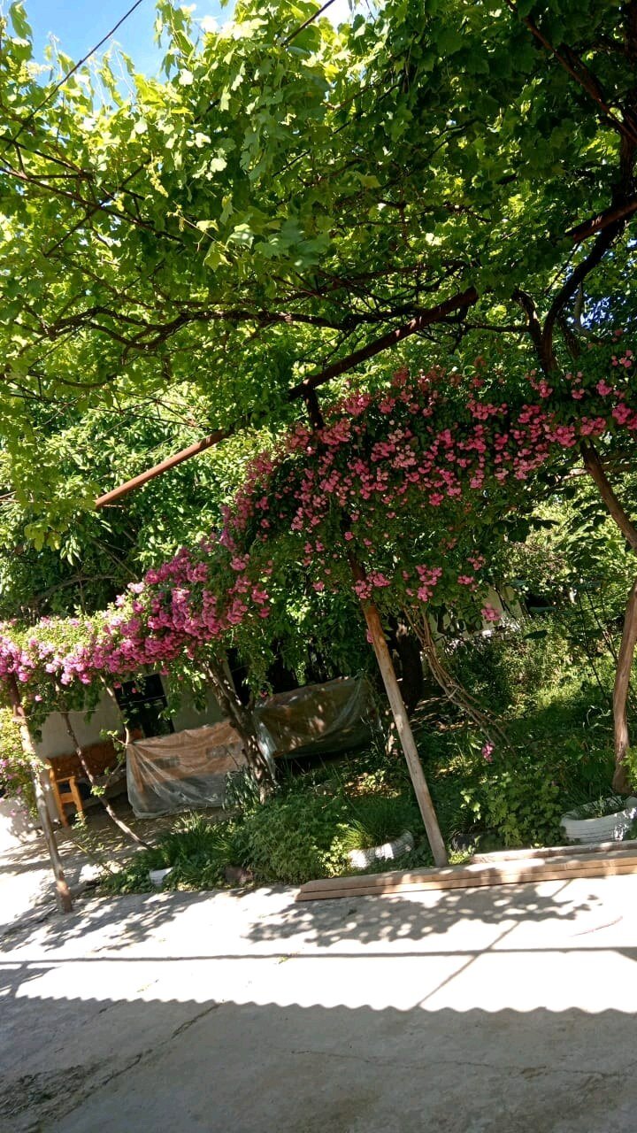 Участок 12 соток