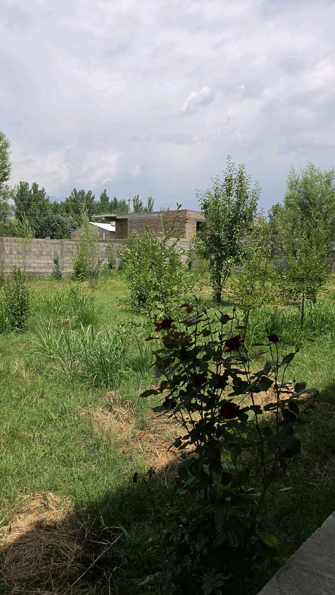 Дом, 3 комнат, 1 этаж.